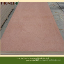Hot Sales Commercial Plywood para Oriente Medio y África del Norte